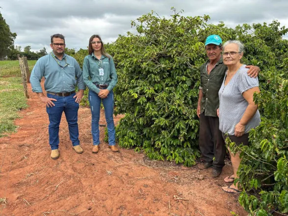Café, gado e um pouco de tudo na pequena propriedade rural 
