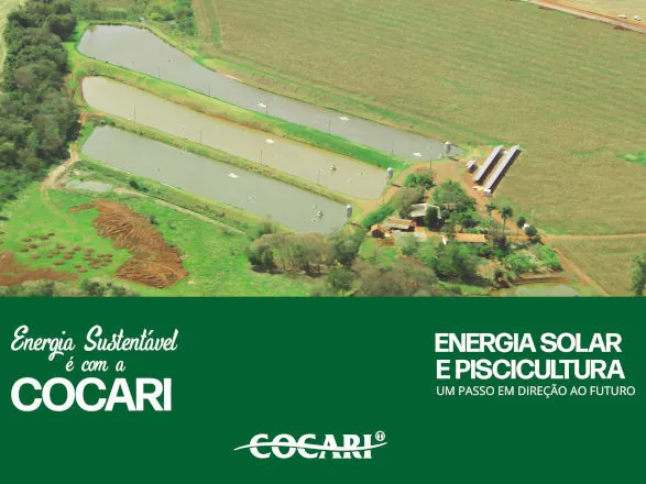 Energia solar reduz custos e traz mais sustentabilidade para a piscicultura