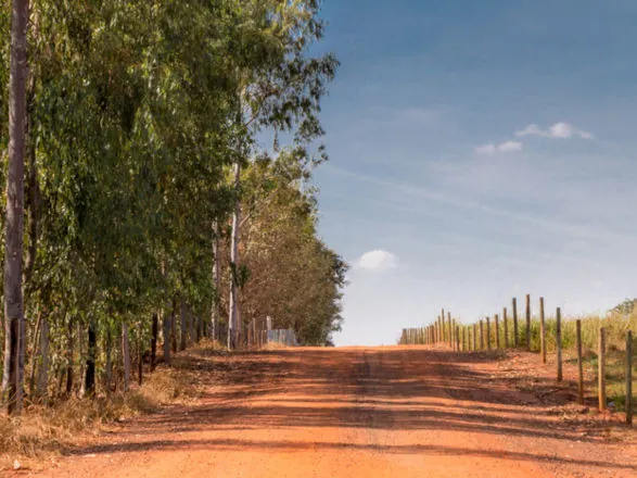 Mapa lança Programa Nacional de Estradas Rurais para aprimorar escoamento da produção agropecuária