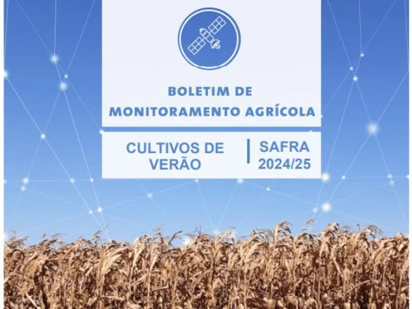 Monitoramento dos cultivos de verão analisa o impacto do clima registrado em fevereiro na safra 2024/25