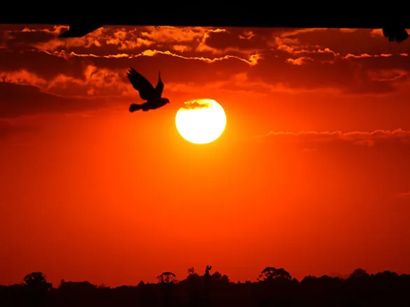 Chuvas diminuem e calor segue em março no Paraná, aponta Simepar