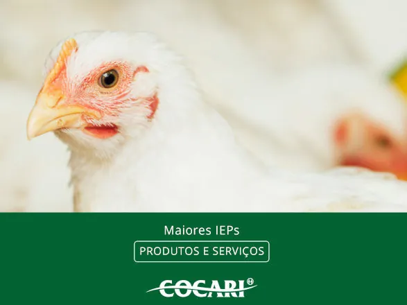 Cocari divulga cooperados com os maiores Índices de Eficiência Produtiva de fevereiro