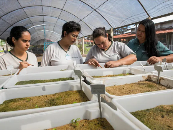 Programa Cultivar chega aos 19 anos como referência no país em preservação ambiental e inclusão social