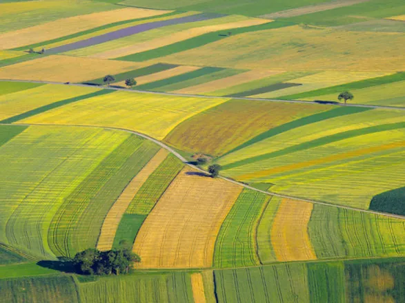Emissões de Cédulas de Produto Rural na safra atual cresceram 68% até fevereiro