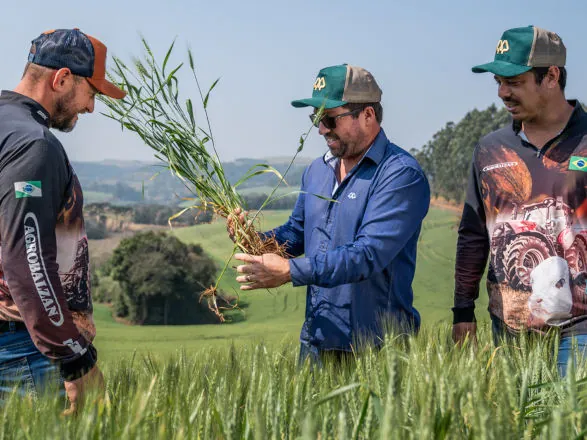 Seguro safra de inverno e máquinas agrícolas 