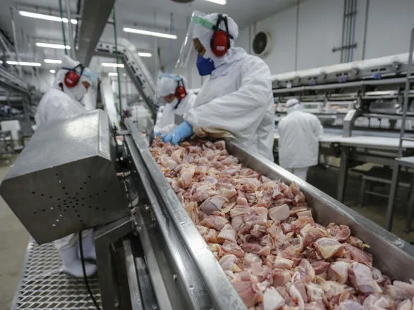 Paraná vendeu US$ 14,2 bilhões em alimentos e bebidas para 176 países em 2024