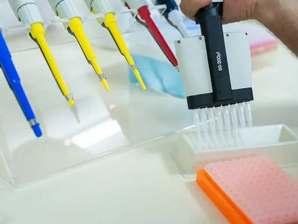 Painel debate papel das novas tecnologias na genética agrícola na Expo Londrina