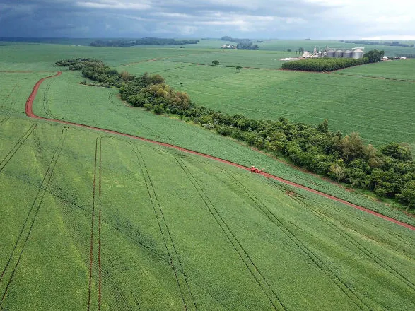 Termina plantio da 2ª safra de milho; previsão de produção é de 15,9 milhões de toneladas