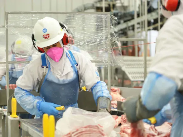 Exportações de carne suína, frangos e automóveis do Paraná saltam mais de 20% em 2025