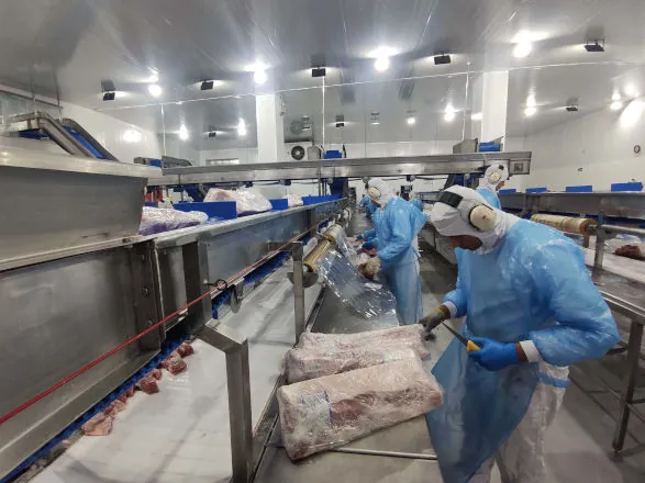 Paraná exporta mais alimentos que países como Japão, Portugal e Coreia do Sul