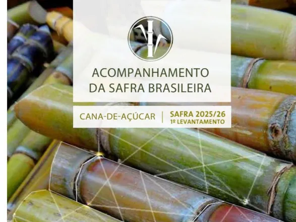 Cana-de-açúcar tem produção estimada em 663,4 milhões de toneladas na safra 2025/26