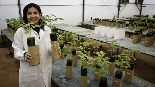 Cientista da Embrapa recebe Prêmio Mundial da Alimentação, o “Nobel” da Agricultura