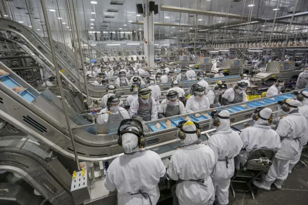 Mercado de empregos aquecido: Paraná tem 23,1 mil vagas abertas nessa semana