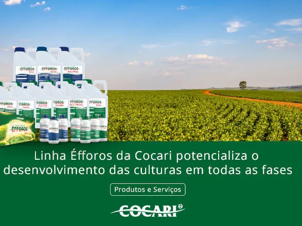 Linha Éfforos da Cocari potencializa o desenvolvimento das culturas em todas as fases