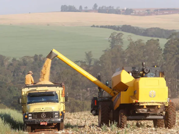Paraná projeta maior safra de milho da história em 24/25, mesmo com perdas climáticas