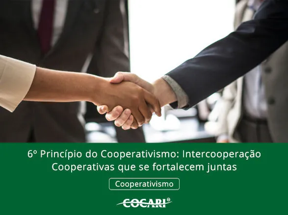 Cooperativas que se fortalecem a partir do 6º princípio do cooperativismo, a intercooperação