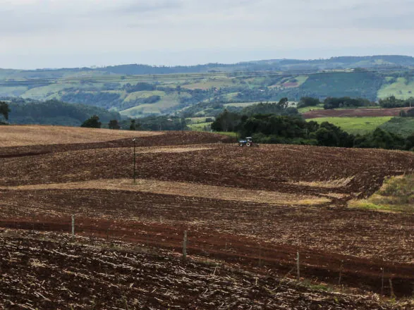 Produtores da região Sudoeste entram no vazio sanitário da soja, que vai até setembro