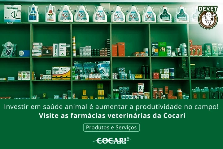 cocari 16 06 2025
