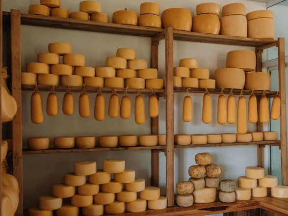 Queijo colonial do Sudoeste do Paraná recebe a Indicação Geográfica