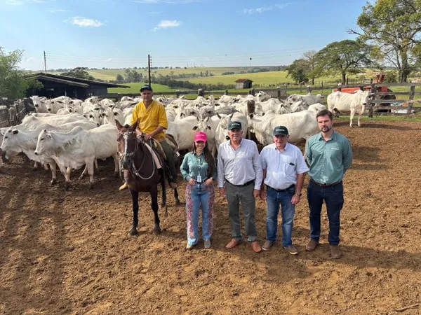 Berço de campeões nelore prioriza produtos Cocamar