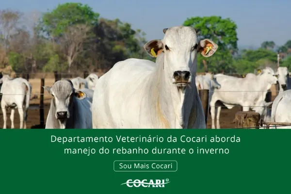 Departamento Veterinário da Cocari aborda manejo do rebanho durante o inverno