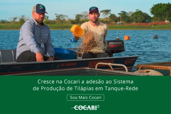 Na Cocari, cresce adesão ao Sistema de Produção de Tilápias em Tanque-Rede
