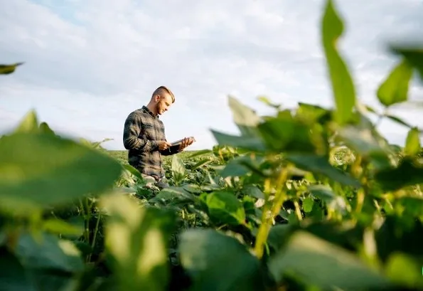 Contratações de seguro rural na Sicredi Dexis já superam números do ano passado