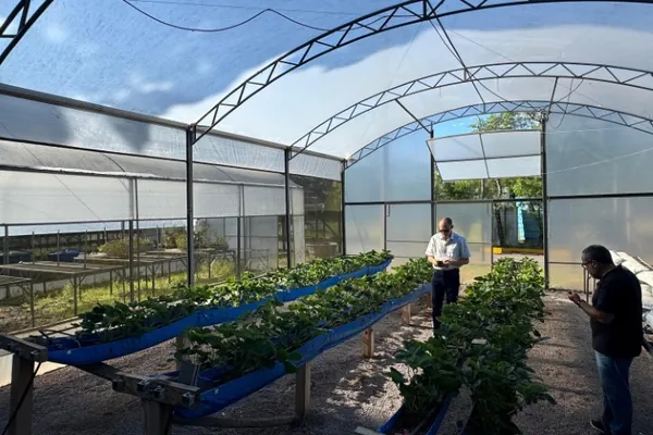 Com auxílio do Tecpar, Paraná terá nova tecnologia europeia para sistemas agrícolas