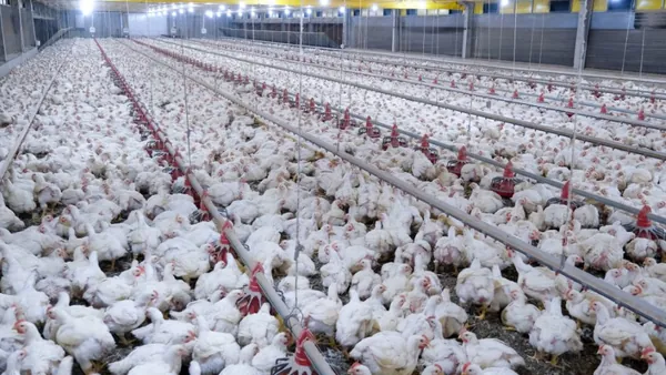 Associação de Proteína Animal reforça necessidade de cuidados com biosseguridade