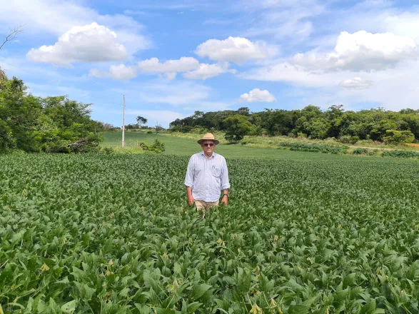Mestre das sementes de soja no Cerrado