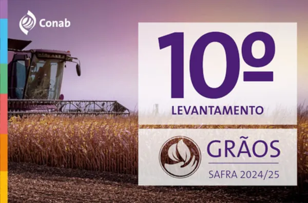 Produção pode alcançar 339,6 milhões de toneladas e superar safra anterior