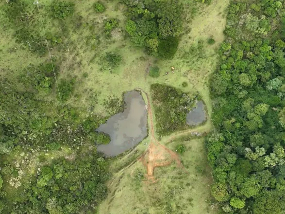 Paraná tem projeto de proteção de microbacias no campo para garantir segurança hídrica