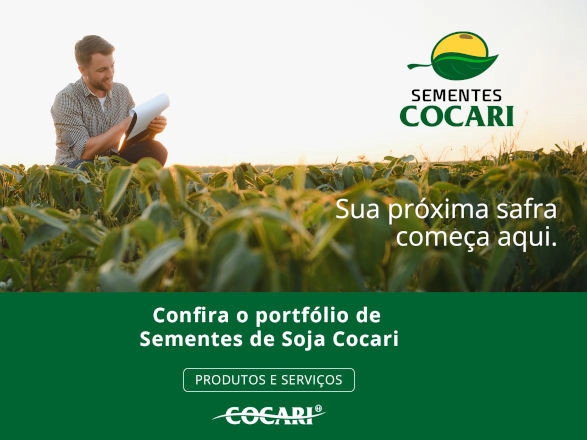 cocari I 22 07 2025