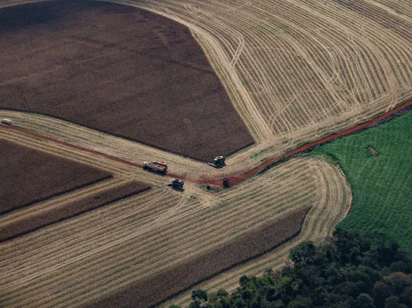 Paraná teve maior crescimento econômico do Brasil nos primeiros cinco meses de 2025