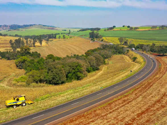 Faixas de domínio do Lote 1 de rodovias paranaenses estão liberadas para plantio