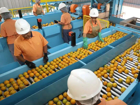 Confira a lista de quase 700 produtos que não serão taxados pelos EUA