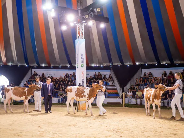 Mais de 550 animais vão participar do julgamento no Agroleite 2025 