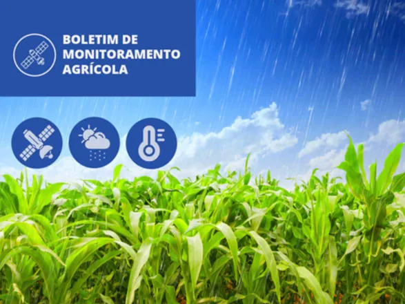 Conab divulga novo monitoramento agrícola para regiões produtoras de grãos