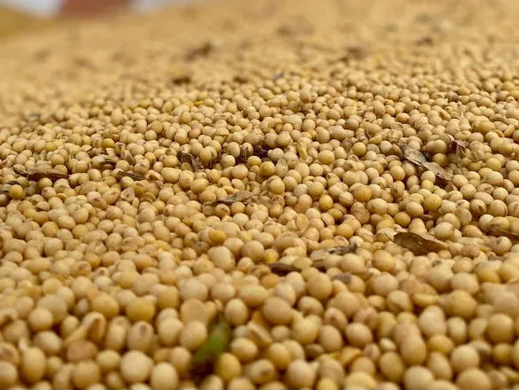Campeões de produtividade da Cocamar vão ser conhecidos na quarta-feira