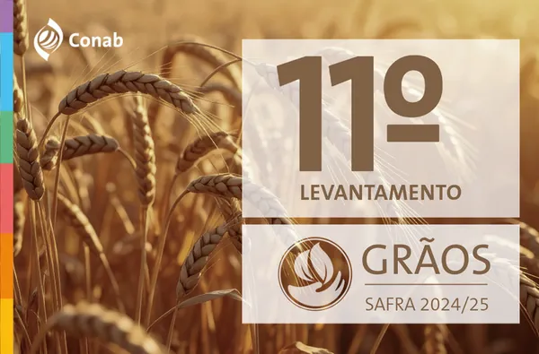 Safra de grãos 2024/25 é estimada em 345,2 milhões de toneladas com recorde na produção de milho e soja
