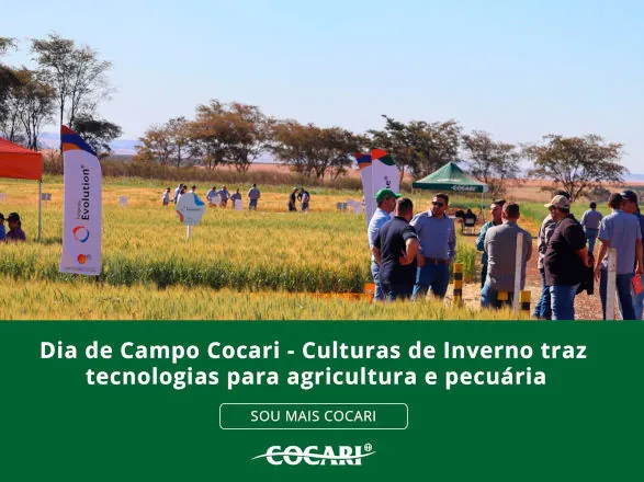 Dia de Campo Cocari mostra opções de melhorias para lavouras de inverno