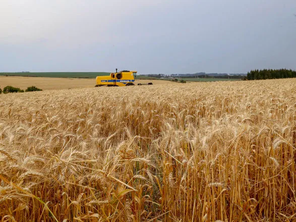 Paraná inicia colheita de 2,6 milhões de toneladas de trigo, principal cultura de inverno