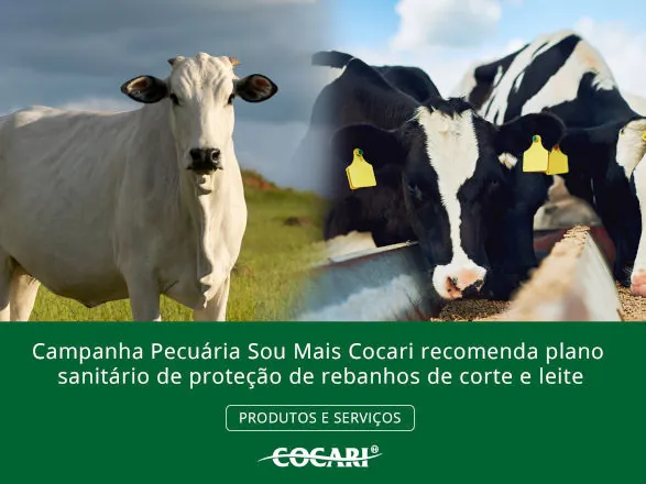 Campanha Pecuária Sou Mais Cocari recomenda plano sanitário de proteção de rebanhos de corte e leite