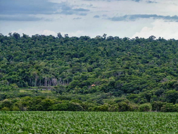 sustentabilidade 28 08 2025
