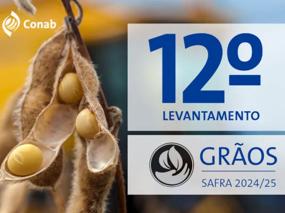 Produção de grãos atinge novo recorde com 350,2 milhões de toneladas colhidas na safra 2024/25