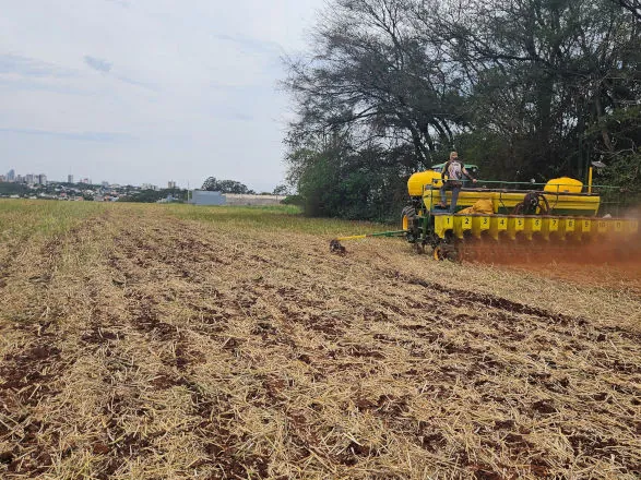 Início da semeadura de soja 25/26 marca novo ciclo na agricultura na região Oeste