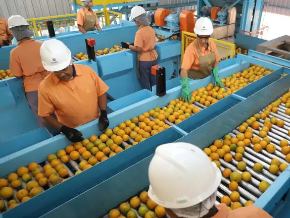 Exportação de produtos atingidos por tarifaço cai 22% em agosto