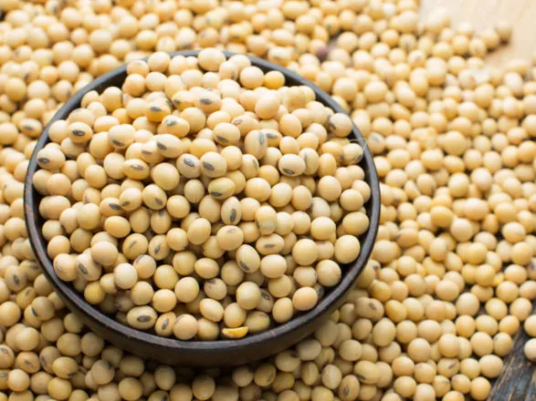 Exportações do agro somam US$14,29 bilhões em agosto e mantêm trajetória positiva