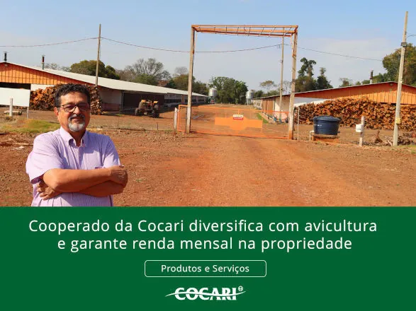 Cooperado da Cocari diversifica com avicultura e garante renda mensal na propriedade