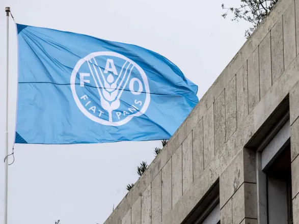 Sistema OCB e FAO alinham parcerias para capacitação em cooperativismo